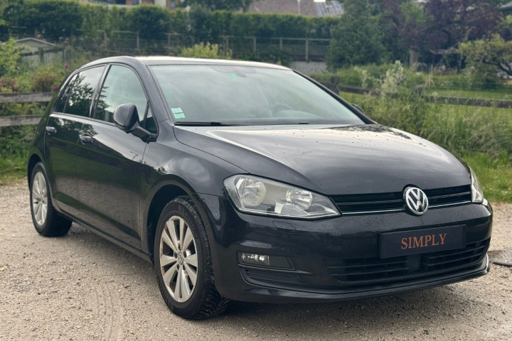 VOLKSWAGEN GOLF BUSINESS